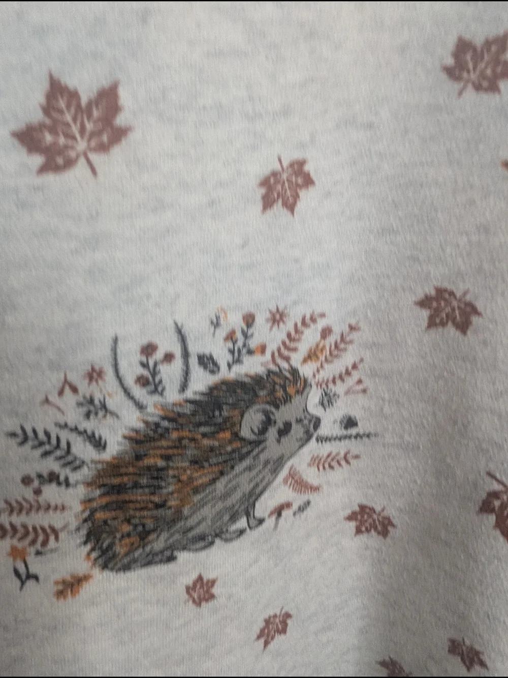 L.A. Soul Hedgehog Print Sweatshirt Crewneck Pullover Women's M Gray Cottagecore - Picture 2 of 7
